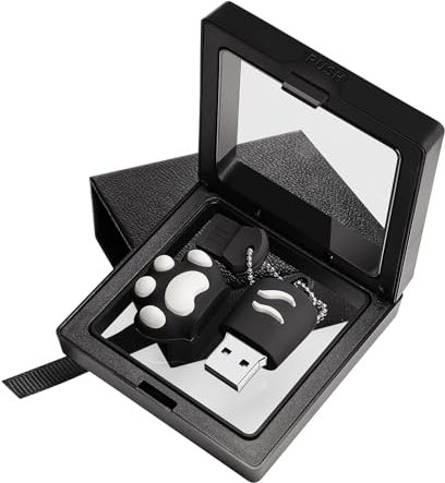 Clé USB 64 Go USB 2.0 Flash Drive, Pen Drive, clés USB pour stockage de données, Zip Drive, Jump Drive, avec boîte cadeau