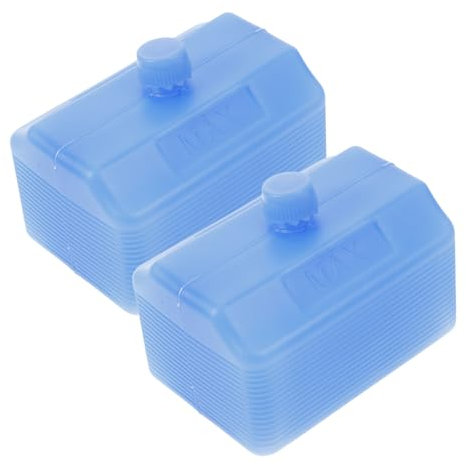 BCOATH Lot De 2 Blocs De Glace Réutilisables pour Glacières pour Usage Quotidien pour Boîtes À Lunch pour Le Camping