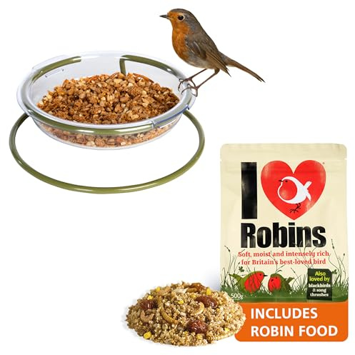 Ground bird feeder with robin food - Mealworm And Robin Bird Feeder Jacobi Jayne® I Love Robins™ Easy Clean Treat Dish and food - Ground Bird Feeder - Robin Feeders For The Garden