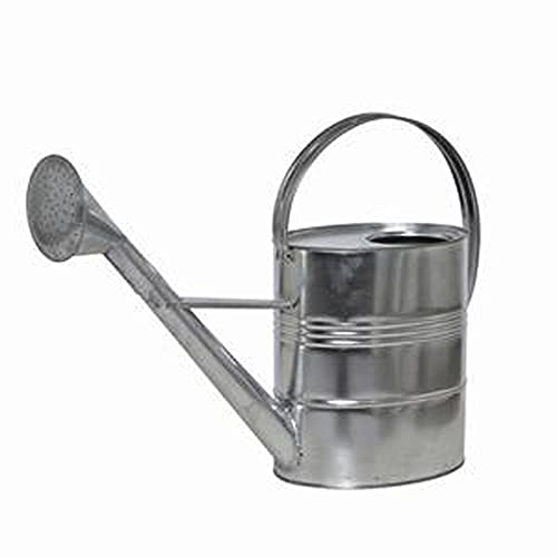 Siena Garden Gießkanne 10L, Blumengießer, verzinkt, 395240, Silber