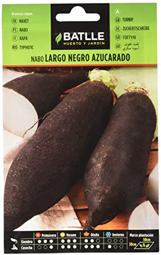 Batlle Gemüsesamen - Lange schwarze Zuckerrübe (9300 Samen)
