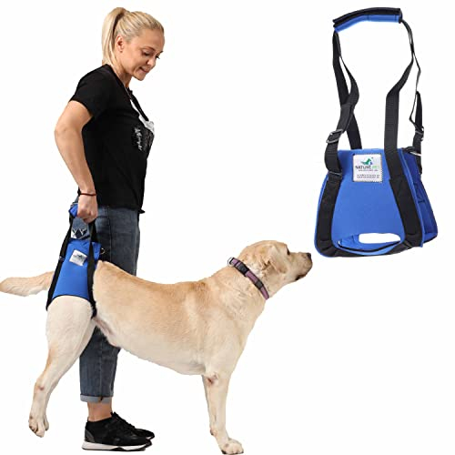 Nature Pet Tragehilfe für Hunde hinten - Ideal für ältere, kranke oder operierte Hunde (L, Blau)