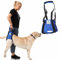 Nature Pet Tragehilfe für Hunde hinten - Ideal für ältere, kranke oder operierte Hunde (L, Blau)