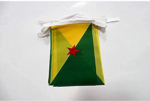 AZ FLAG Guirnalda 6 Metros 20 Banderas Guayana Francesa 21x15 cm - Bandera Guyane Française - Francia 15 x 21 Cm - Banderines franceses