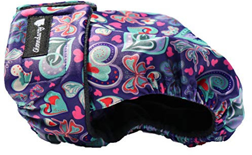 Glenndarcy Hundewindeln - OHNE SCHWANZLOCH - für z.B FRENCHIES und Bulldoggen - (Medium Pants only, Butterflies)