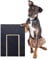 Dog Scratch Pad for Nails, Multifunctional Scratching Board with Built-in Treat Box, Wooden Scratch Mat Toy for Pets Nail Care, Dog Nail File Board