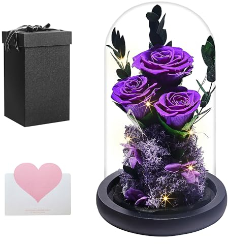 YISONHO Ewige Rose im Glas mit LED-Preserved Roses Flowers, Valentine's Day Wedding Anniversary Birthday Gift ,Girlfriend Mother Wife Geschenke für Frauen, Purple-01
