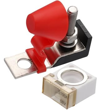 TUCKBOLD 1 Set 100A Battery Fuse Terminal Fuse Block Fuse 58V for Car Boat Automotive Parts