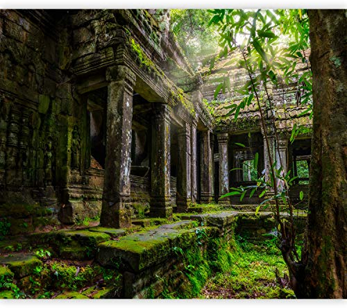 murando - Vlies Fototapete 3d Effekt 350x256cm Foto Tapete Schlafzimmer Wohnzimmer Vliestapete XXL Motivtapeten Bildtapete 3d Effekt Wand Dekoration - Preah Khan Natur Wald Baum d-B-0323-a-a