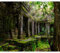murando - Vlies Fototapete 3d Effekt 350x256cm Foto Tapete Schlafzimmer Wohnzimmer Vliestapete XXL Motivtapeten Bildtapete 3d Effekt Wand Dekoration - Preah Khan Natur Wald Baum d-B-0323-a-a