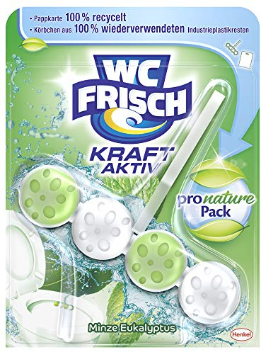 WC-Frisch Kraft Aktiv Pro Nature Minze und Eukalyptus, WC-Reiniger und Duftspüler, 1 Stück