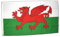 Flagge Wales - 60 x 90 cm