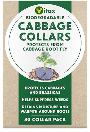 Vitax Cabbage Collars - 30 Pack