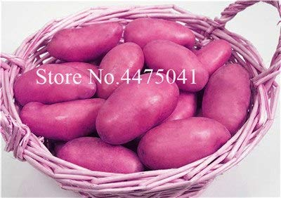 Seeds. Fresh hot bonsai 120pcs mixed potatoes bonsai green nutrition vegetables for home & amp; Garden to plant potato bonsai absorbing radiation: 12