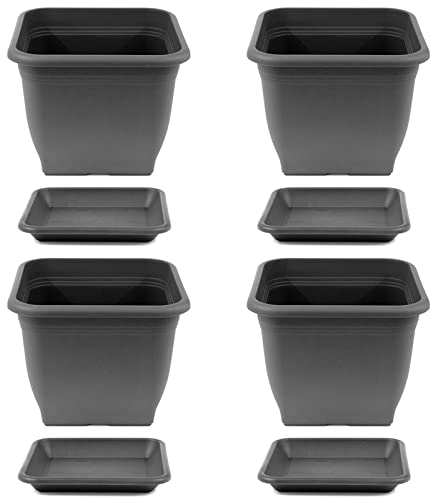 HAC24 4X Pflanztopf 19 x 19 cm Kunststoff incl. Untersetzer Eckig Anthrazit Pflanzkübel Pflanzuntersetzer Blumentopf Blumenkübel Pflanzcontainer