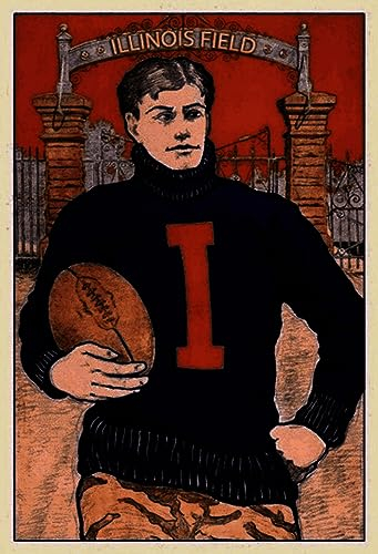 Blechschild 18x12 cm American Football Illinois field Wand Deko Bar Kneipe Sammler Geschenk