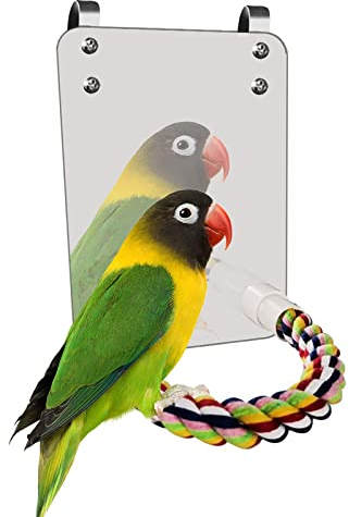 Vogel Spiegel Spielzeug Mit Seil Barsch Große Spiegel Ständer Bar Set Bunte Kauspielzeug Für Papagei Wellensittich Nymphensittiche Conure Finch Afrikanischen Grauara Käfig Hängendes Spielzeug