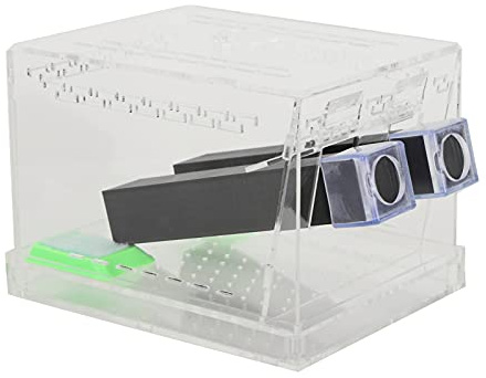 Zerodis Cricket -Keeper Cricket Care Acryl Reptile -Beobachtungsbox mit Abnehmbarem Deckel und Fütterungstanne für Spinnen -Scorpions -Frösche (L)