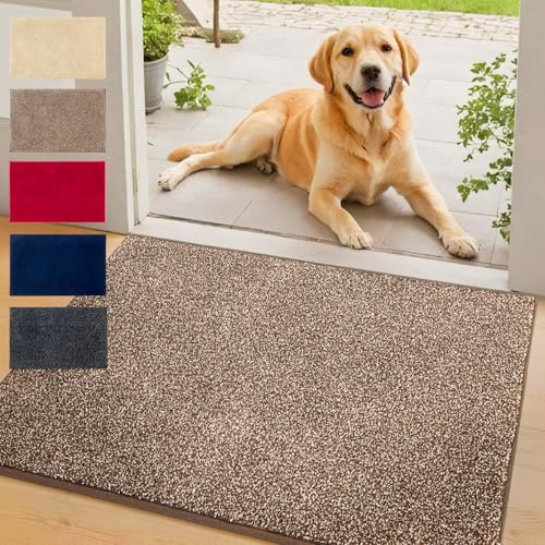Floordirekt Schmutzfangmatte NASA, Braun - 80 x 120 cm Fußmatte, Türmatte für Eingangsbereich aus Polyester mit Rutschfester Unterseite