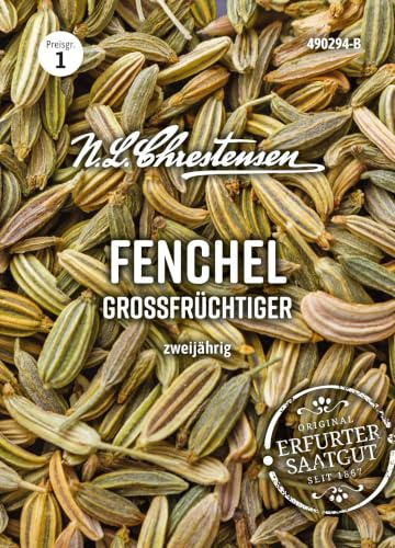 Fenchel großfrüchtiger zweijährig