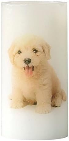 Luna24 simply great ideas... LED Kerze mit Hundemotiv Welpe Goldi Golden Retriever 1x Kerze 15837