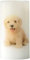 Luna24 simply great ideas... LED Kerze mit Hundemotiv Welpe Goldi Golden Retriever 1x Kerze 15837