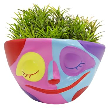 Blumentopf mit Gesicht, Übertöpfe Pflanztopf Graffiti Gesicht Pflanzgefäße, Blumentöpfe Mit Entwässerungsloch 5 Zoll Durchmesser Übertopf Für Innen Bunt Lustige Raumdekoration