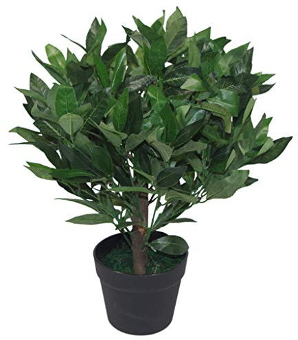 Leaf Bay Tree 7090-7089-7207-7209 Künstlicher Lorbeerbaum, Blattform, 50 cm, Grün, Kunststoff