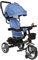 4 in 1 Kinderdreirad Tricycle für Kinder ab 12 Monate bis 5 Jahren mit Abnehmbarer Sonnendach&Schubstange Dreiräder,Jogger, mit Dachfenster, Sicherheitsgurte, Freilaufrad (4 in 1 (Dunkelblau))