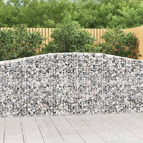 Gabionen-Hochbeete, Pflanzkübel, Blumenkästen, Gabionen mit Hochbogen 25 STK 400x50x100/120cm Verzinktes Eisen Geeignet für Balkone, Terrassen, Decks, Gärten, Hinterhöfe, Innenhöfe