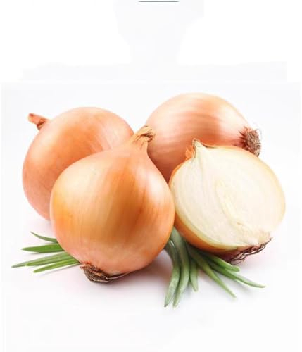 150 pcs steckzwiebeln bio samen zimmerpflanze gartenkräuter samen, zwiebel samen, kräuter pflanzen topfpflanzen draußen winterhart, pflanzen garten kräuter samen, wintergemüse samen