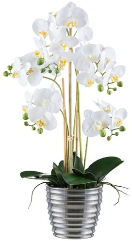Phalaenopsis Orchidee 62 cm Weiß im eleganten Silber-Keramiktopf - Pflegeleichte Kunstpflanze