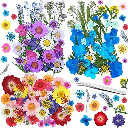 Frasheng 120 Stück Natürliche Getrocknete Blumen,DIY getrocknete Blumen Set Mit Pinzette,Gemischte Getrocknete Blüten und Blätter für Kunst Basteln DIY Harz Scrapbooking Handwerk Karten Machen