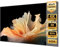 NothingProjector Beamer Leinwand, 84 Zoll ALR CLR, 4K Ultra HD Laser TV Bildschirm, Wandmontage, Umgebungslicht abweisend, Wandbefestigung Projector Screen für Ultrakurzdistanzprojektor Heimkino