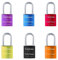 OXYEFEI Lucchetto Personalizzato, Lucchetto D'amore Personalizzato Uomo Donna Fidanzato Fidanzata Amante Acciaio inossidabile Memorial Anniversary Valentine Bridge Lucchetto (6 Colori)