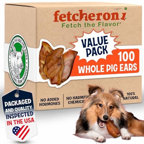 FETCHERONI Whole Pig Ears for Dog Chews, Long Lasting Dog Treat, L, 100 PCS