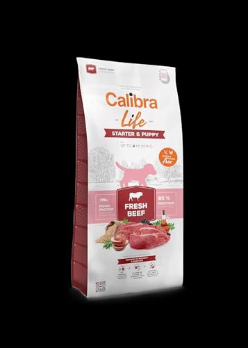 CALIBRA Dog Life Starter & Welpe, frisches Rindfleisch, 12 kg