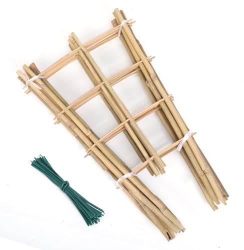 GUANGYE Natural Bamboo Trellis Bamboo Trellis 24 Fan-Shaped Plant Support Trellis for Climbing Plants Hoya Plants Vines Ivy Indoor Mini Climbing with Bamboo Plants 6-Piece Pack