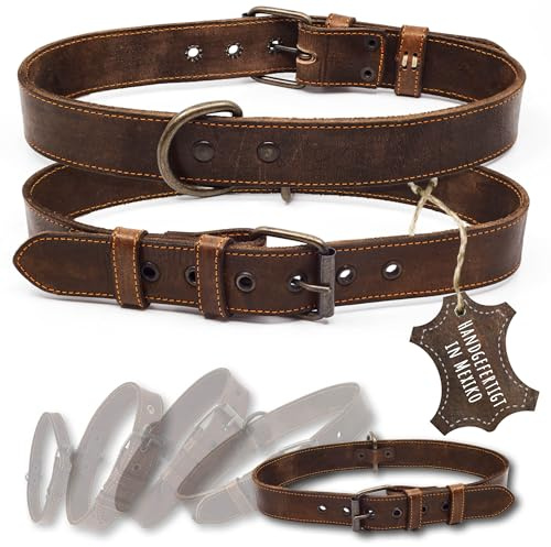 ALTEZAR Lederhalsband Hund - Natur Leder Dunkelbraun - Hundehalsband handgemacht in Mexiko - Dornschnalle 5-Fach verstellbar - Größe XL Halsumfang 51-62 cm - für sehr große Hunde