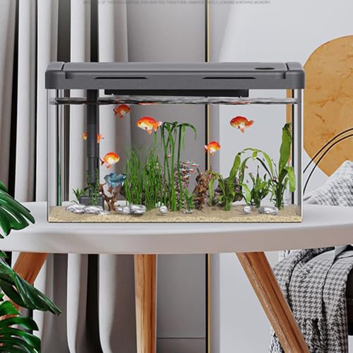 19L Aquarium mit Filter und Licht, Rechteckig, Schwarz, Modern Aquarium Komplettset, Acryl -Aquarium Mini Fischtank Tischdekoration, Tropische Fisch Tank Kit für Fische und Wasserpflanzen