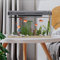 Acuario de 19 l con filtro y luz, rectangular, negro, moderno juego completo, acrílico -Aquarium Mini tanque de peces, decoración de mesa, kit de tanque de peces tropicales para peces y plantas