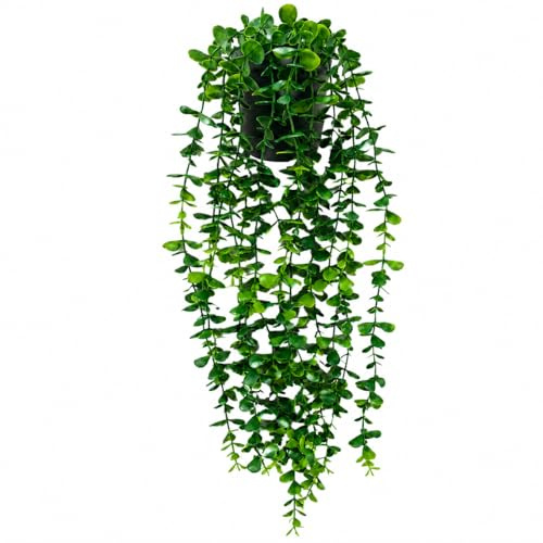 RITOLLO Artificial Hanging Eucalyptus Plant with Pot | Realistic faux eucalyptus in a pot for shelves, walls, bathrooms, living rooms, balconies and offices