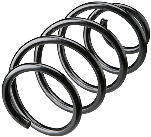lesjofers 4095106 Coil Spring Front