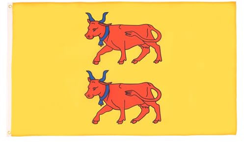 BANDIERA PROVINCIA DEL BEARN 150x90cm - BANDIERA PROVINCE DU BÉARN REGNO DI FRANCIA 90 x 150 cm - AZ FLAG