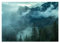 Papel Pintado Bosque Niebla Árboles Naturaleza Salón Dormitorio - Incluye Pegamento - Fotomurales Pared Tejido No Tejido Decorativos Murales Fotográfico XXL Moderno Decoración de Paredes (368x254 cm)