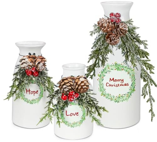 CEMABT Juego de jarrones de cerámica para decoración de interiores del hogar, centro de mesa de granja, casas blancas y decoración de mesa nórdica, colección moderna de vacaciones