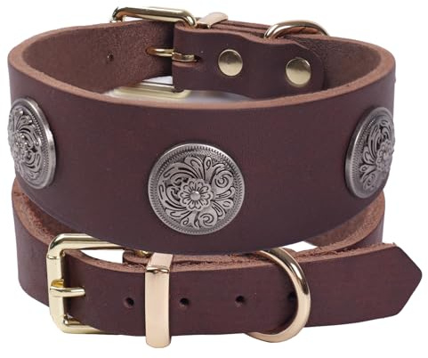 Leder Hundehalsband mit Nieten,Starkes Echtes Weiches Leder für Kleine Mittel Große Hunderassen (Braun L)