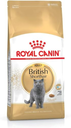 Royal Canin British Shorthair Adult Trockenfutter, 400 g