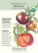 Schwarz Krim Tomatensamen - 0,15 Gramm - Bio