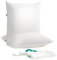 SONGMICS Oreiller, Lot de 2, 60 x 60 cm, Garnissage 800 g, Housse Douce en Tissu Polyester Brossé, Coussin, Lavable en Machine à 60°, avec Sac de Rangement, Blanc Nuage TBP007W02